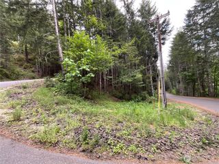 1 XX N Colony Surf Drive, Lilliwaup, WA 98555