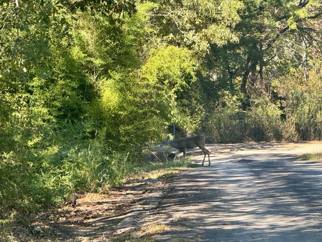 244 CR 2602, Pittsburg, TX 75686