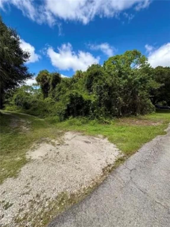 321 Jackson AVE, LEHIGH ACRES, FL 33936 — photo 3