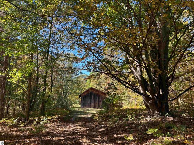 5039 Indian Hill Road, Honor, MI 49640