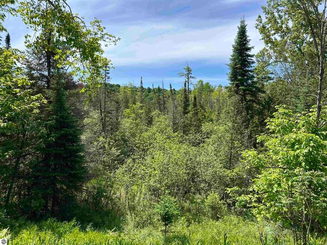 5039 Indian Hill Road, Honor, MI 49640