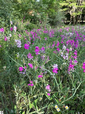 5039 Indian Hill Road, Honor, MI 49640