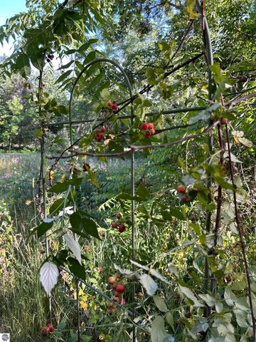 5039 Indian Hill Road, Honor, MI 49640