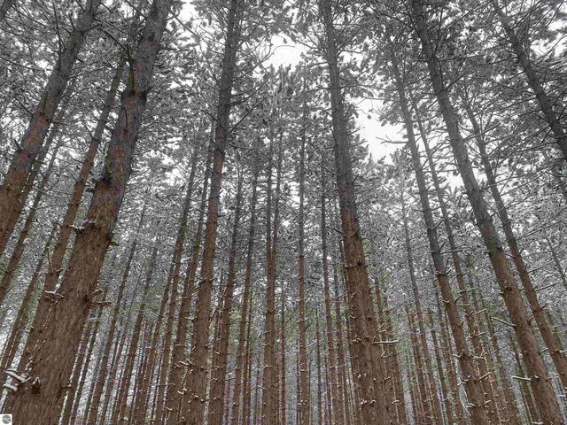 5039 Indian Hill Road, Honor, MI 49640