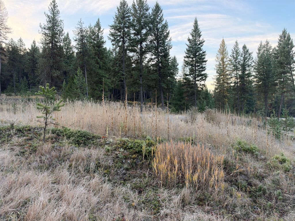 NHN Glen Lake Road, Eureka, MT 59917 photo 3
