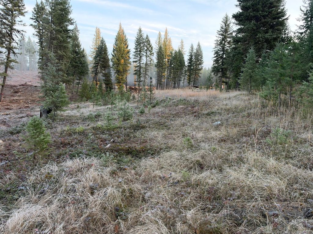 NHN Glen Lake Road, Eureka, MT 59917 photo 5