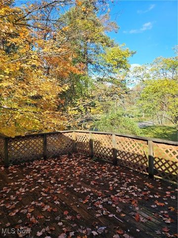 16940 Thompson Road, Thompson, OH 44086