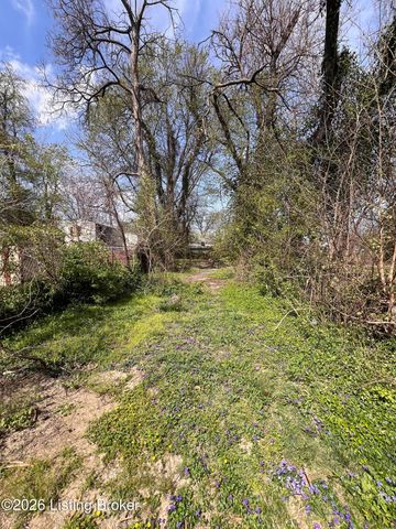 1717 Hale Ave, Louisville, KY 40210