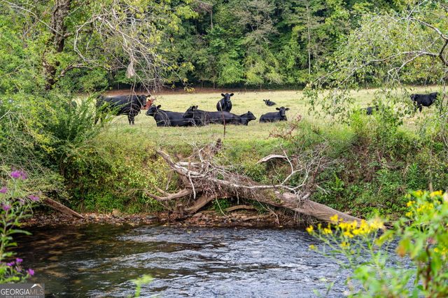 60 E Conasauga Creek, Ellijay, GA 30540