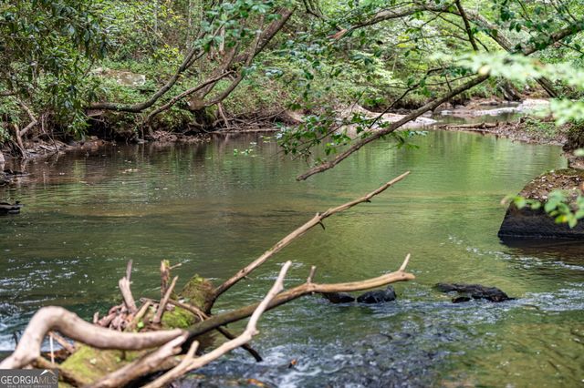 60 E Conasauga Creek, Ellijay, GA 30540