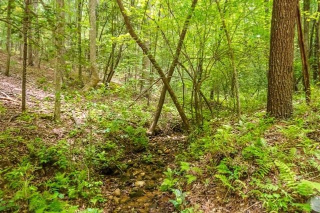 LOT 32 Oceola Drive, Ellijay, GA 30540