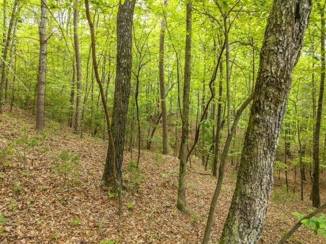 LOT 32 Oceola Drive, Ellijay, GA 30540