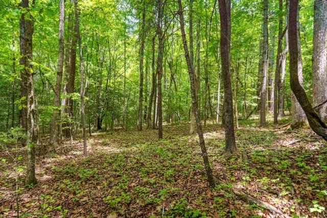 LOT 32 Oceola Drive, Ellijay, GA 30540