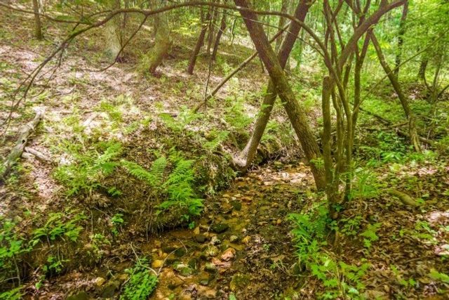 LOT 32 Oceola Drive, Ellijay, GA 30540