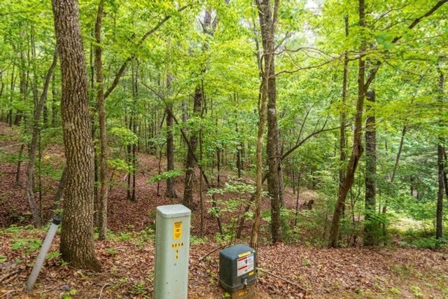 LOT 32 Oceola Drive, Ellijay, GA 30540