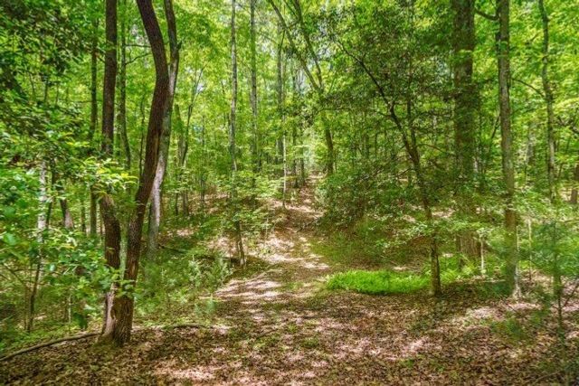 LOT 32 Oceola Drive, Ellijay, GA 30540