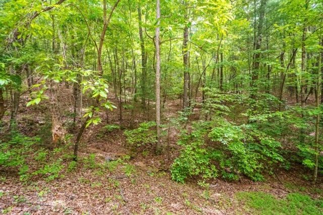 LOT 32 Oceola Drive, Ellijay, GA 30540