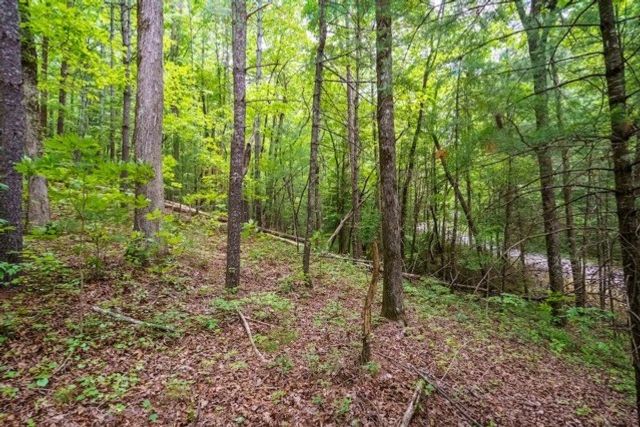 LOT 32 Oceola Drive, Ellijay, GA 30540