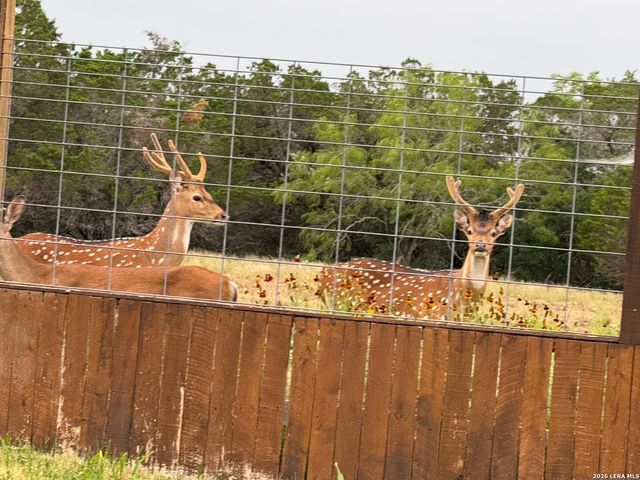 29739 Elkhorn Rdg, Fair Oaks Ranch, TX 78015