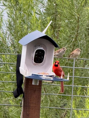 29739 Elkhorn Rdg, Fair Oaks Ranch, TX 78015