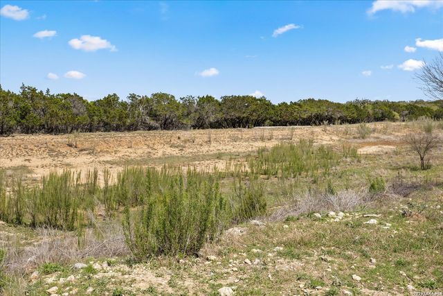 29739 Elkhorn Rdg, Fair Oaks Ranch, TX 78015
