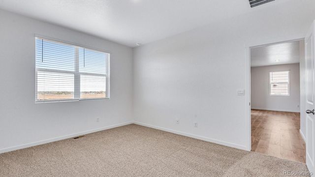 5625 Gelbray Place, Windsor, CO 80528