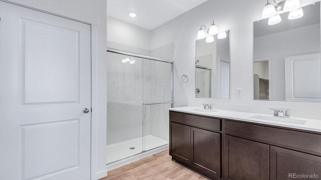 5625 Gelbray Place, Windsor, CO 80528
