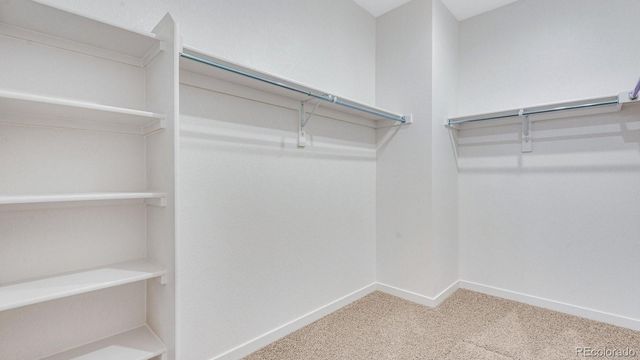 5625 Gelbray Place, Windsor, CO 80528