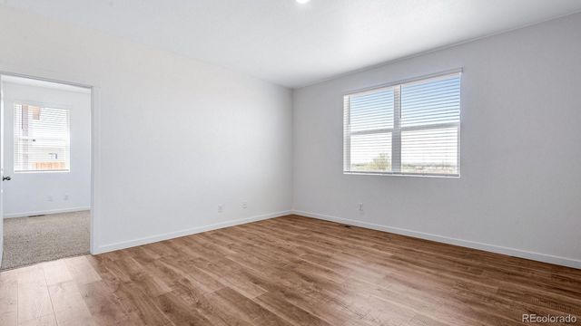 5625 Gelbray Place, Windsor, CO 80528