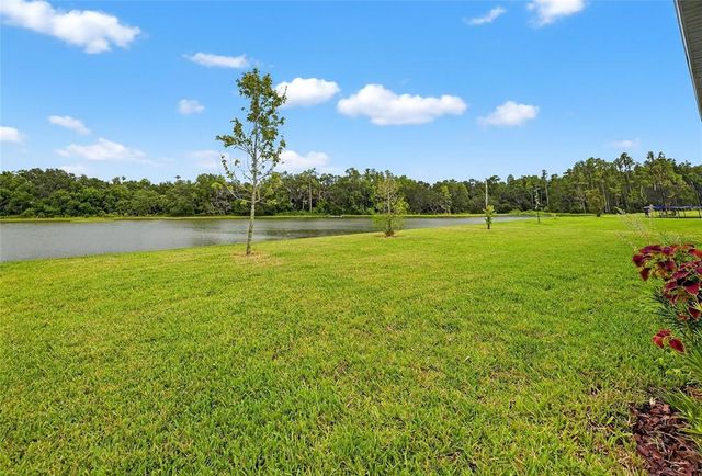 10831 SUNDRIFT DRIVE, Tampa, FL 33647