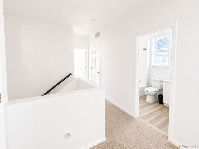 8731 Snake River Street, Littleton, CO 80125