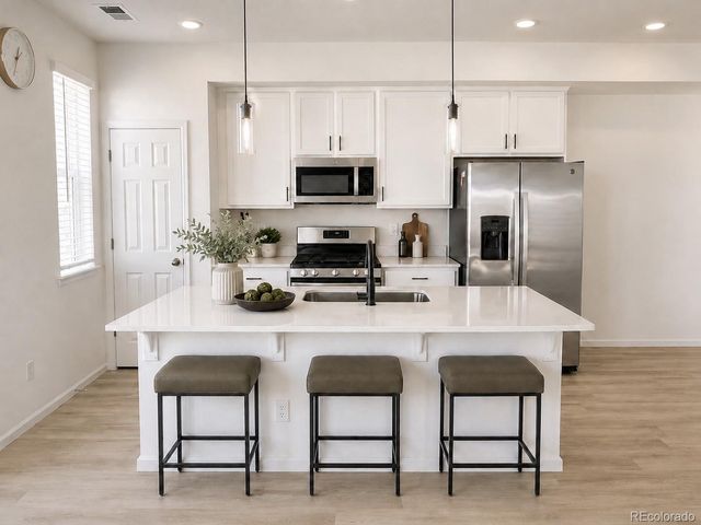 8731 Snake River Street, Littleton, CO 80125