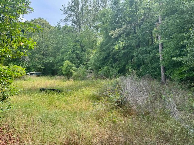 167 Brinkley Street, Aiken, SC 29808