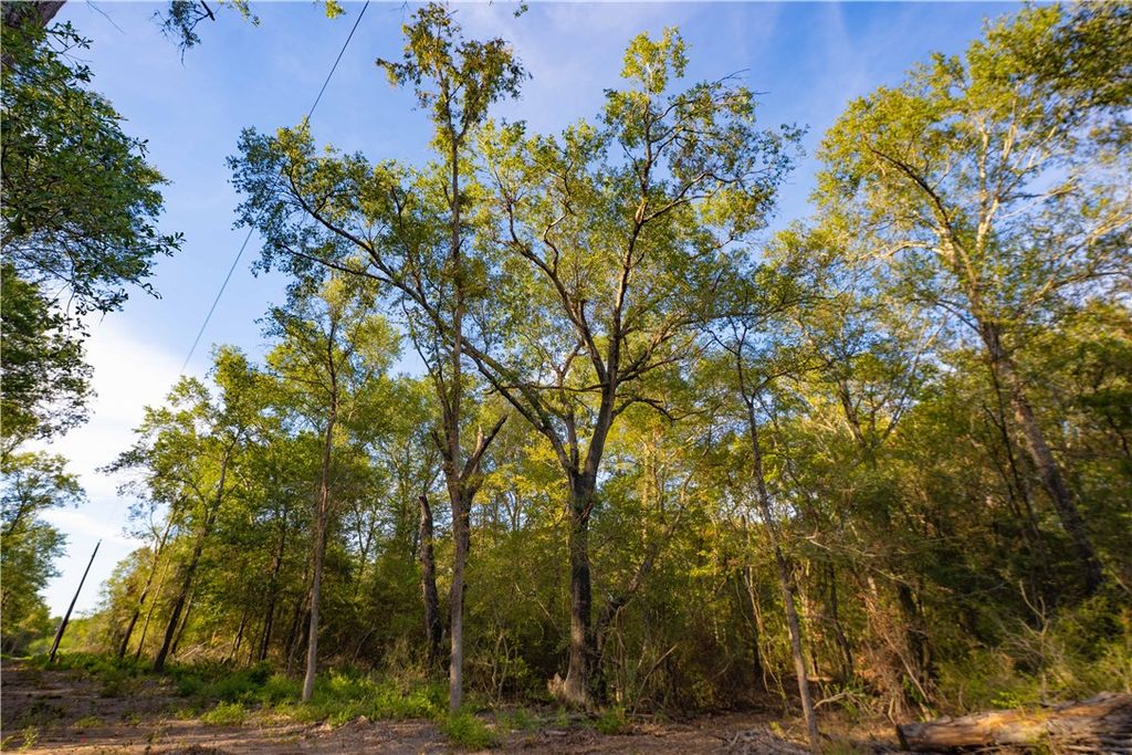 12416 Red Hill Rd, Lot 11 County Road, Hearne, TX 77859 — photo 2