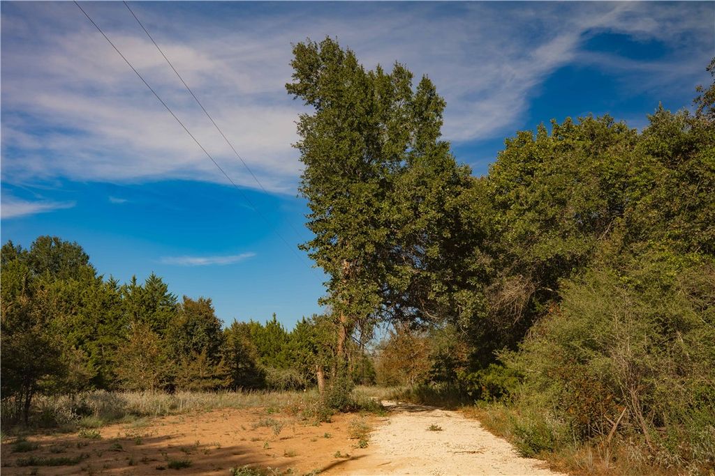 12416 Red Hill Rd, Lot 11 County Road, Hearne, TX 77859 — photo 5