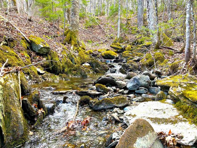 1164 Hallstrom Road, Northfield, VT 05663