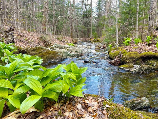 1164 Hallstrom Road, Northfield, VT 05663