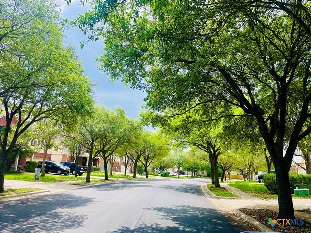208 Birch Drive, Kyle, TX 78640