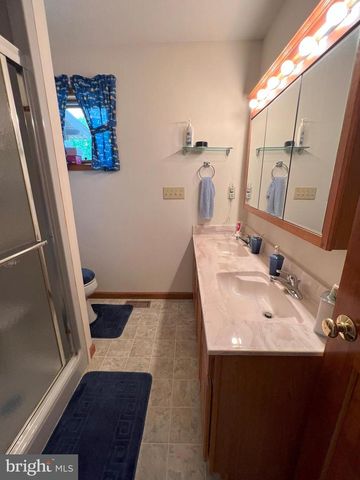 43 SIERRA VISTA WAY, Purgitsville, WV 26852