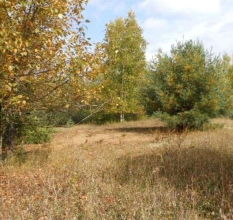 00 Pueblo Trail, Evart Twp, MI 49631