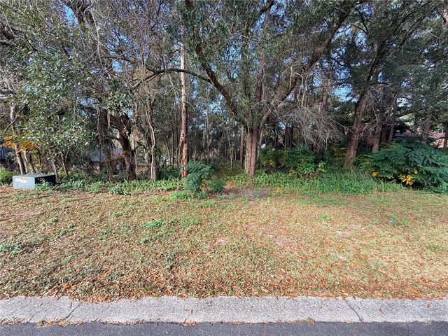 1482 COVERED BRIDGE DRIVE, Deland, FL 32724