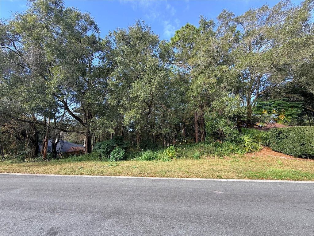 1482 COVERED BRIDGE DRIVE, Deland, FL 32724