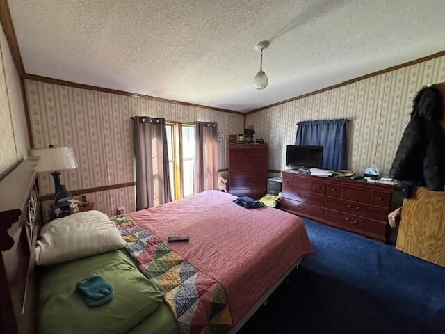 27810 Maystead Road, Sturgis, MI 49091