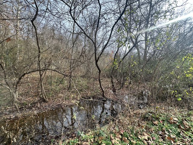 210 Trotter Rd, Waverly, TN 37185