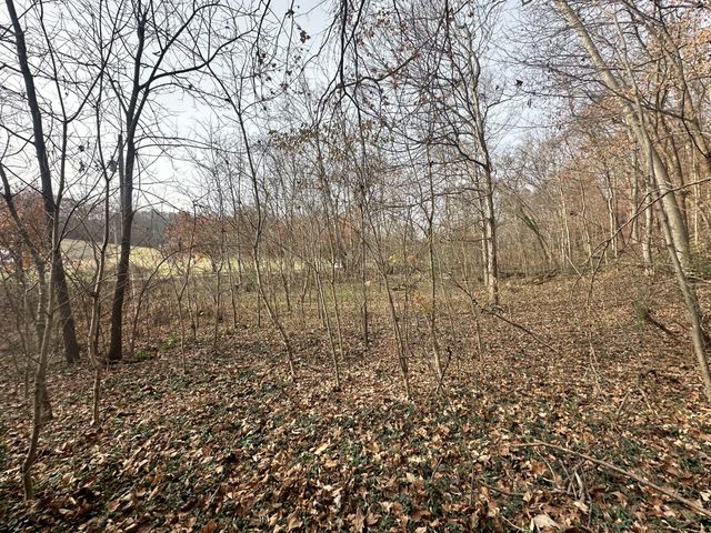 210 Trotter Rd, Waverly, TN 37185