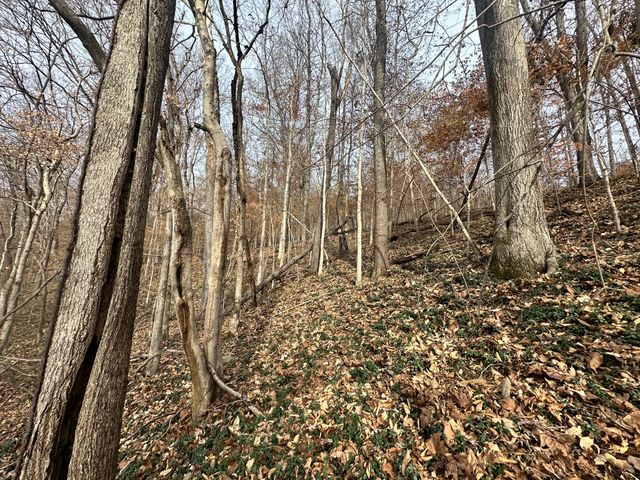 210 Trotter Rd, Waverly, TN 37185