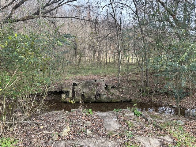 210 Trotter Rd, Waverly, TN 37185