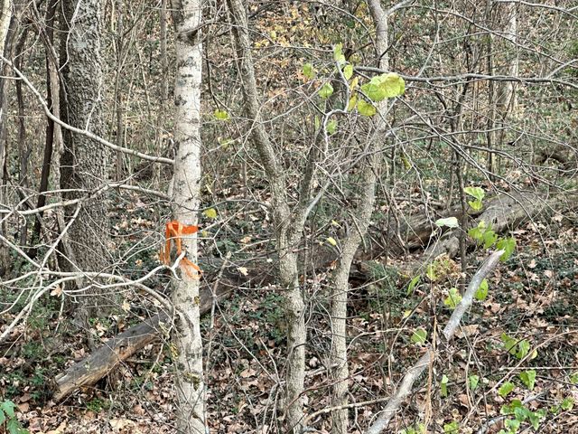 210 Trotter Rd, Waverly, TN 37185