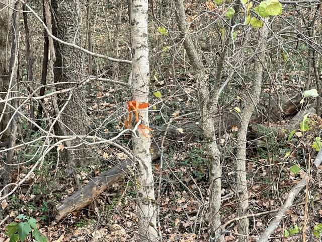 210 Trotter Rd, Waverly, TN 37185