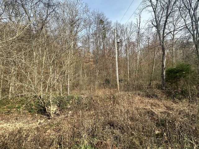 210 Trotter Rd, Waverly, TN 37185